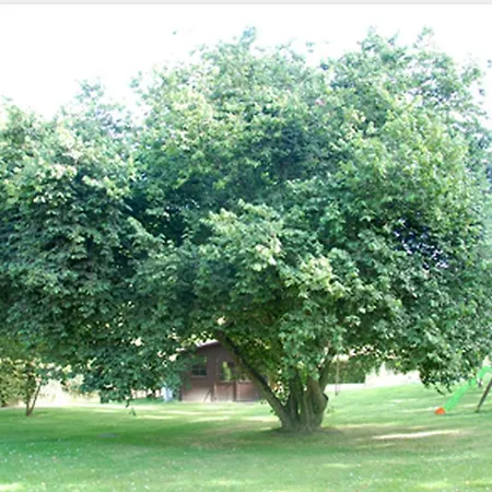 Bed & Breakfast Entre Bois Et Pres La Neuville-du-Bosc