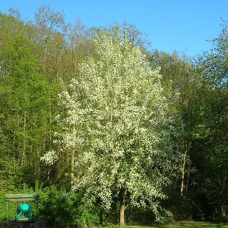 Entre Bois Et Pres Bed & Breakfast 3*